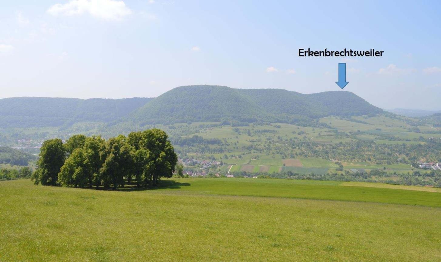 Fewo-Alb-Traum Erkenbrechtsweiler Екстериор снимка